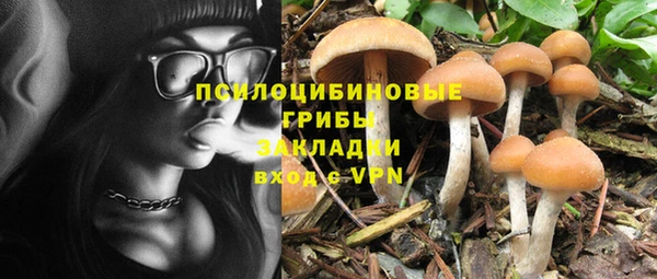 гидра Краснослободск