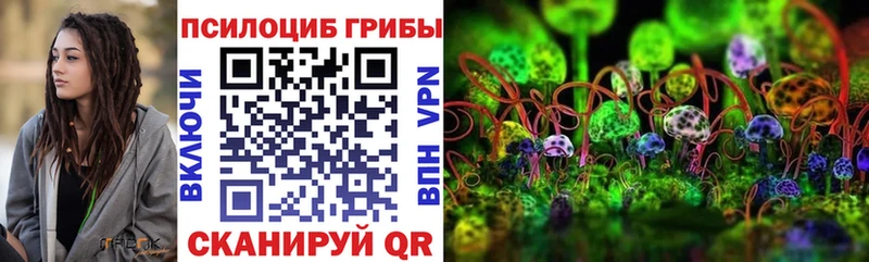Псилоцибиновые грибы ЛСД  Купить закладки  Ахтубинск 